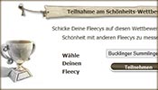Screenshot Wettbewerb